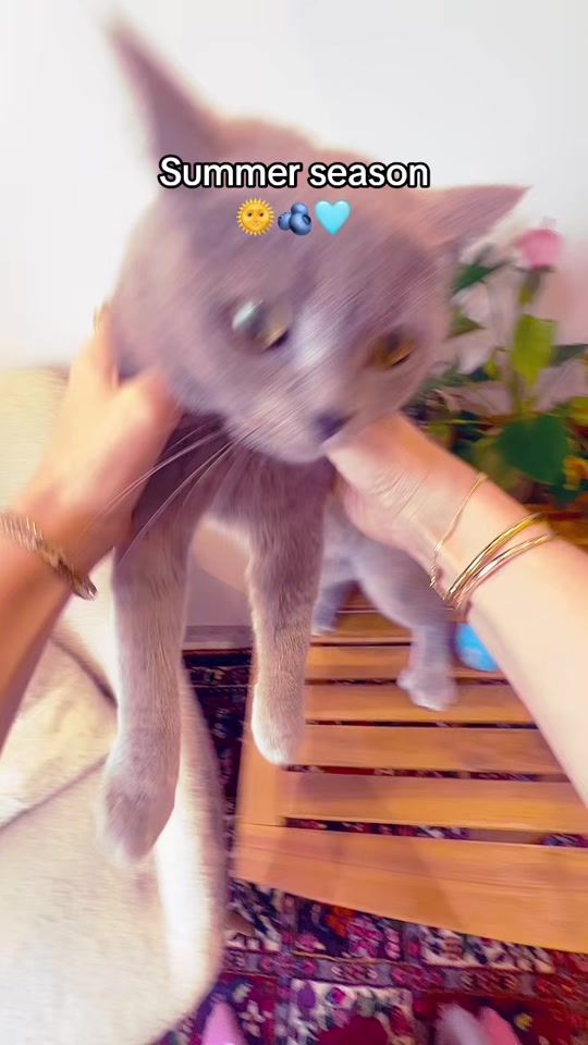 TikTok video thumbnail by flash_drink