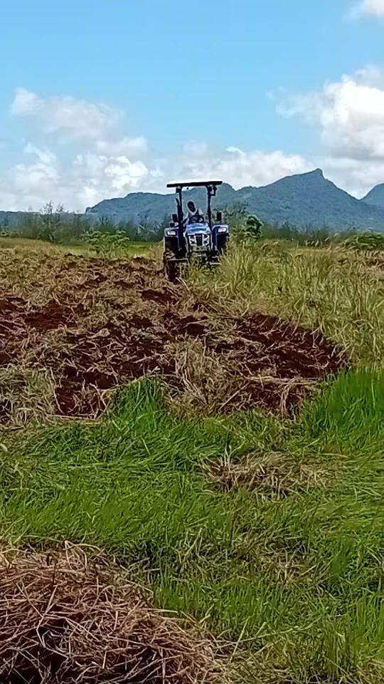 TikTok video thumbnail by hirendrakumar262