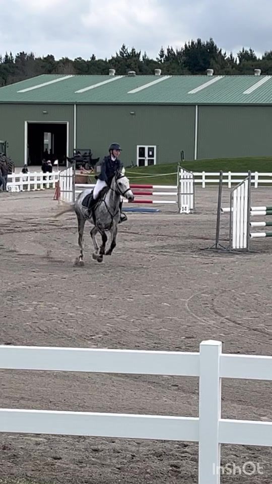 TikTok video thumbnail by milla._equestrian