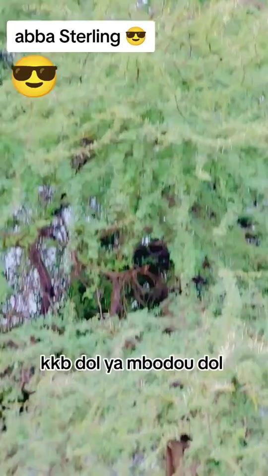 TikTok video thumbnail by abba__.sterlign