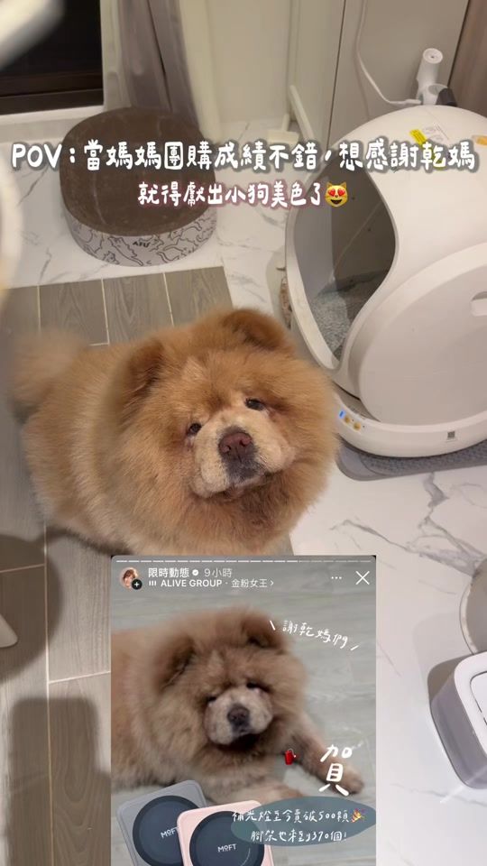 TikTok video thumbnail by han716__