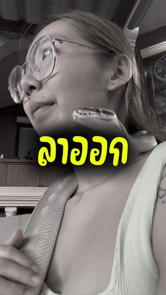 TikTok video thumbnail by pimandjedii