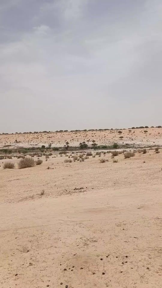 TikTok video thumbnail by ___abba__jari_2