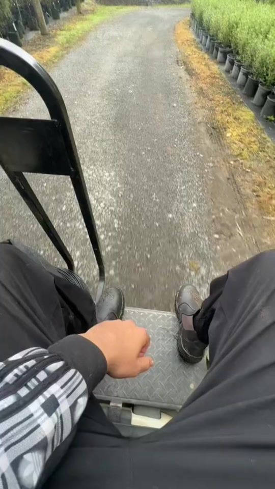 TikTok video thumbnail by doabanz1