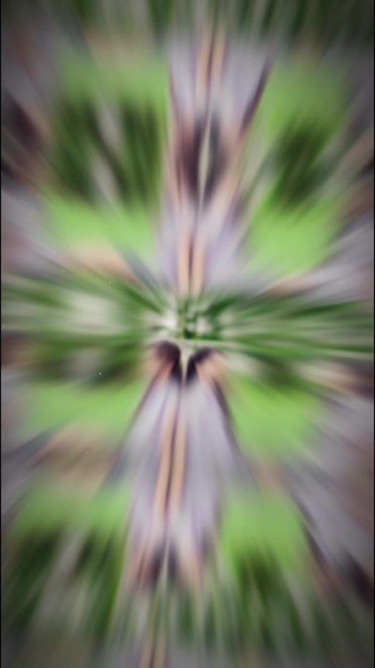 TikTok video thumbnail by vycua16