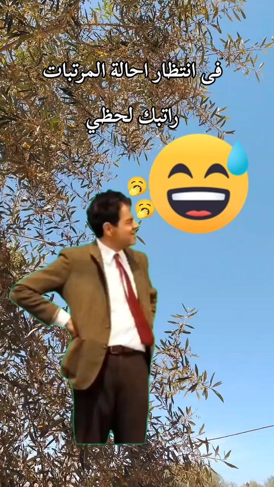 TikTok video thumbnail by user78428691261902