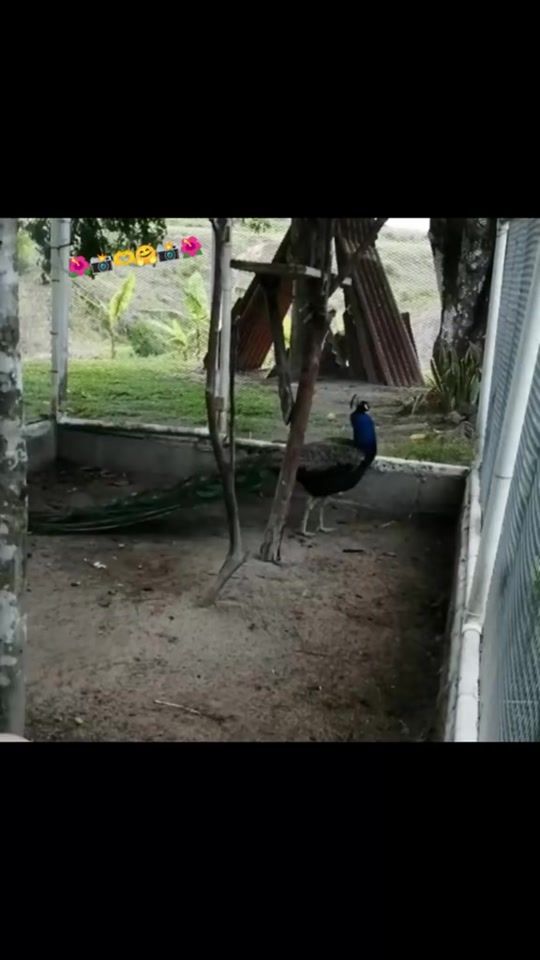 TikTok video thumbnail by linethmm2709