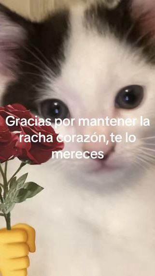 TikTok video thumbnail by ernesto.campos06