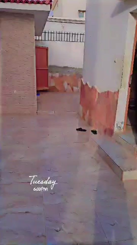 TikTok video thumbnail by ladjo.choco8