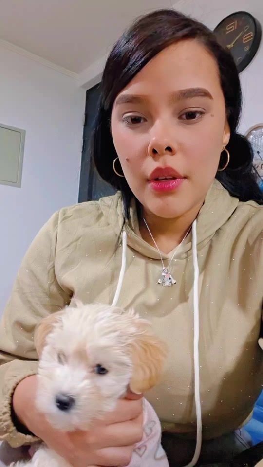 TikTok video thumbnail by dislaidyvanessa