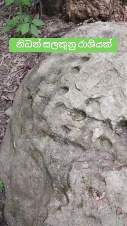 TikTok video thumbnail by user37179869421881