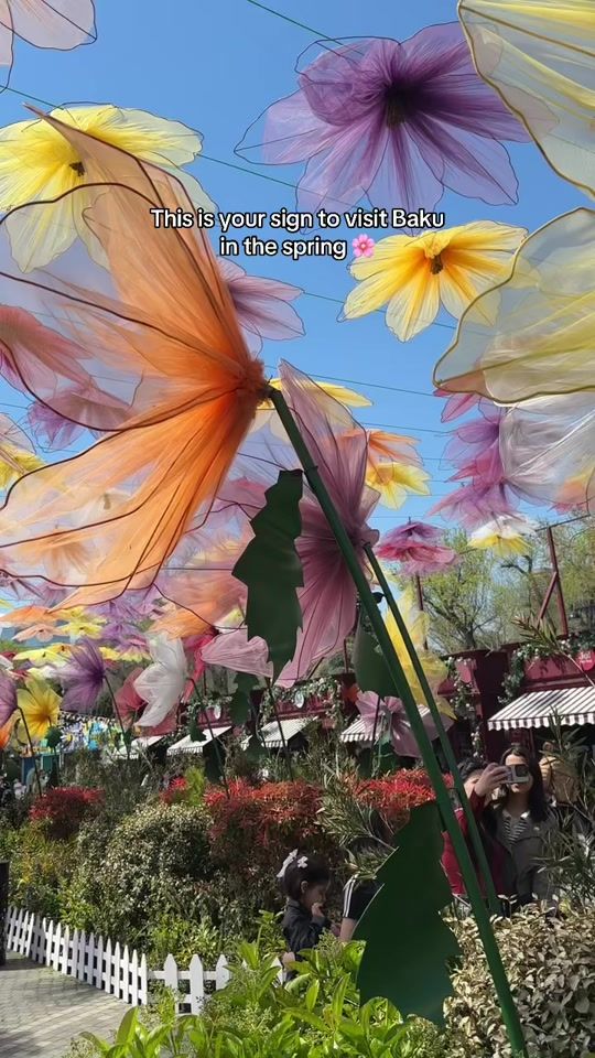 TikTok video thumbnail by visualdiary28