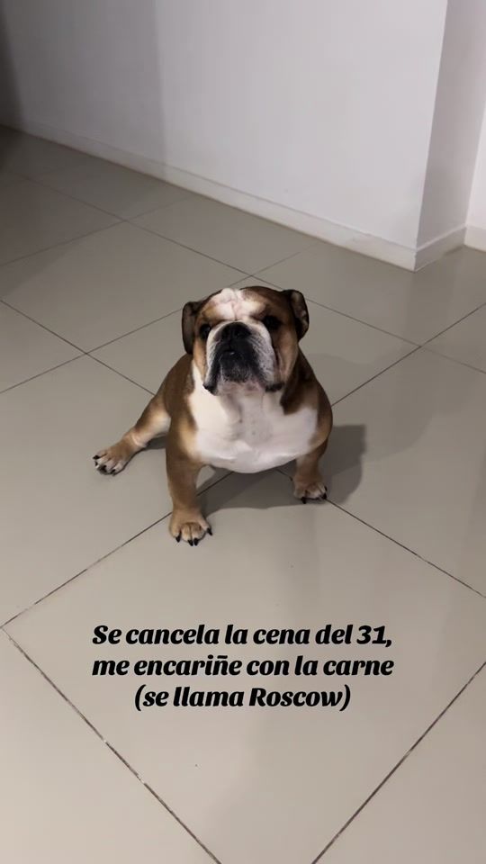 TikTok video thumbnail by fatibarone
