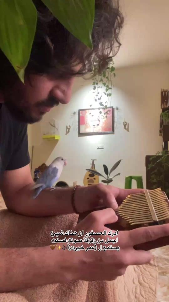 TikTok video thumbnail by picar.oud