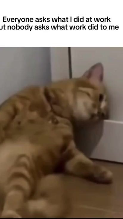 TikTok video thumbnail by tanja.tanja25