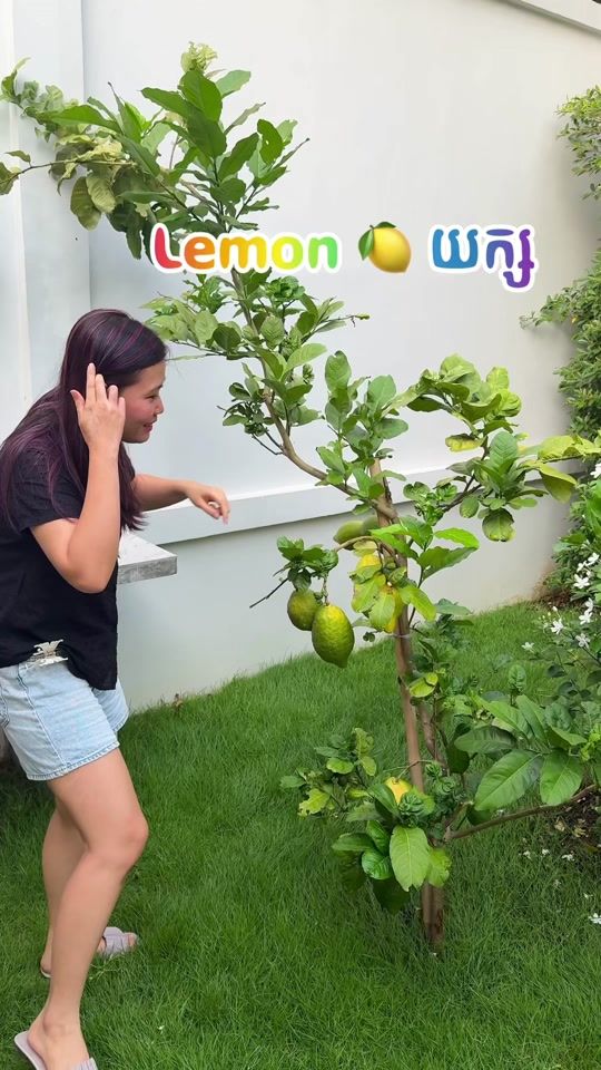 TikTok video thumbnail by travel_tale