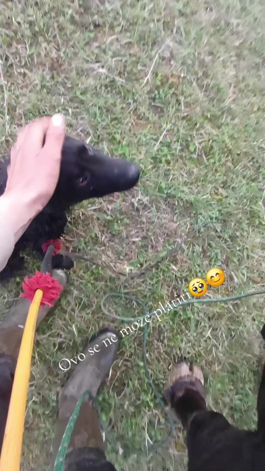 TikTok video thumbnail by ganibeg5