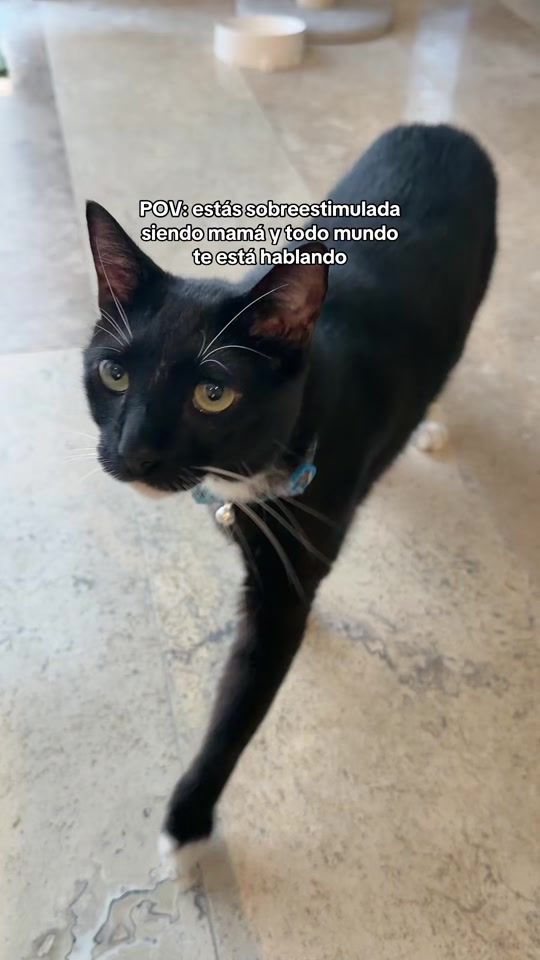 TikTok video thumbnail by apocalitzyy