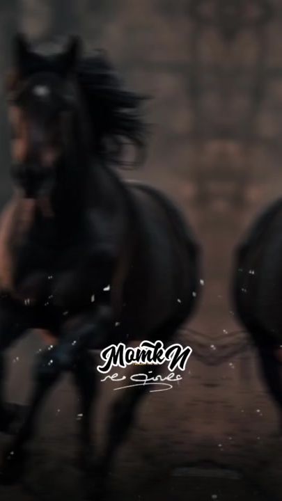 TikTok video thumbnail by momkn.1
