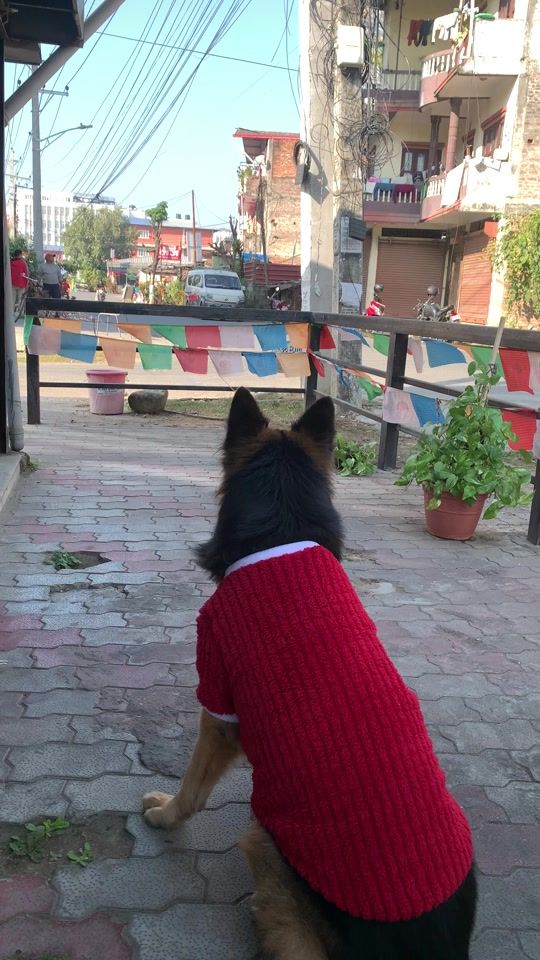 TikTok video thumbnail by puspus_bobo