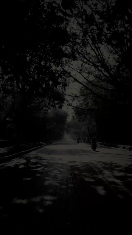 TikTok video thumbnail by admin_chama.lk
