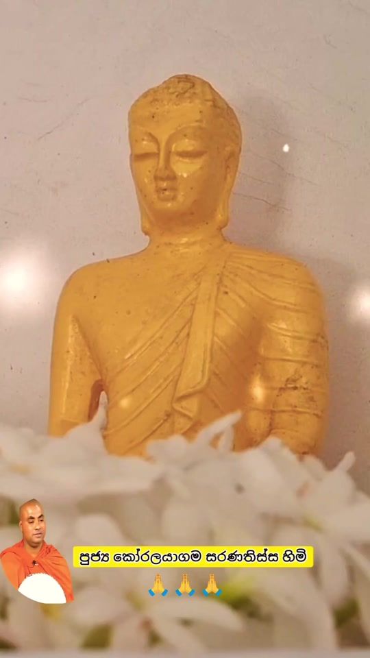 TikTok video thumbnail by buddha385