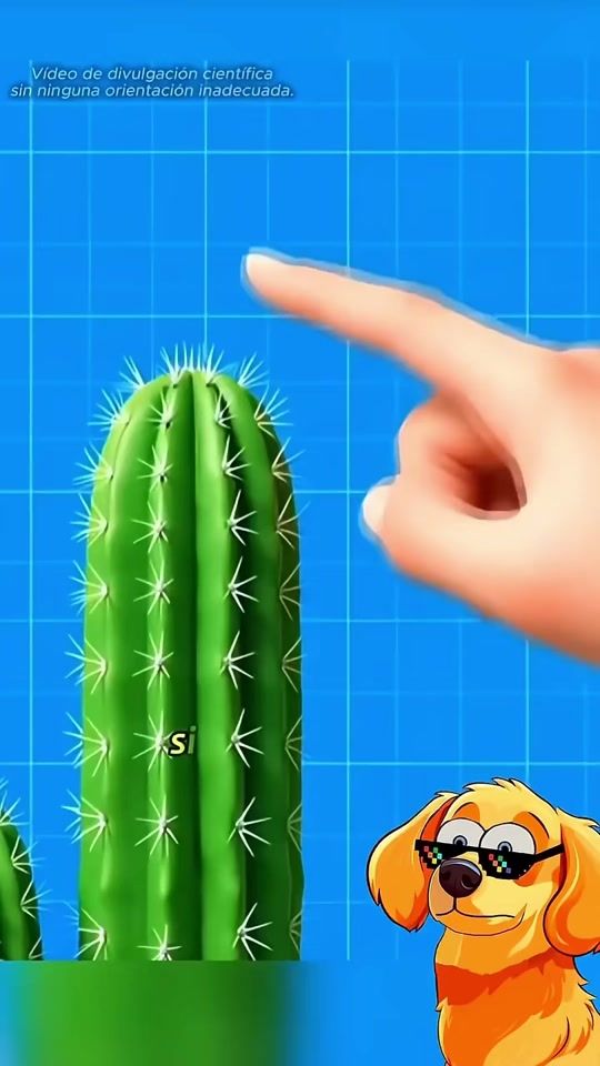 TikTok video thumbnail by aliizquierdo_