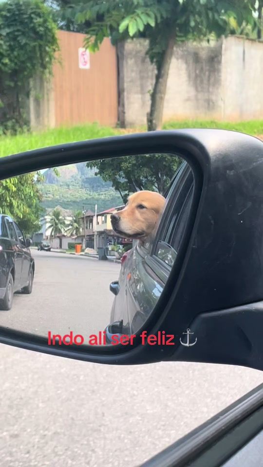 TikTok video thumbnail by danteogolden