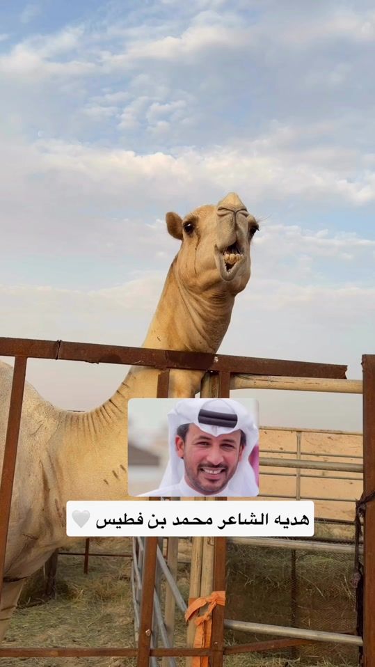 TikTok video thumbnail by imz.o