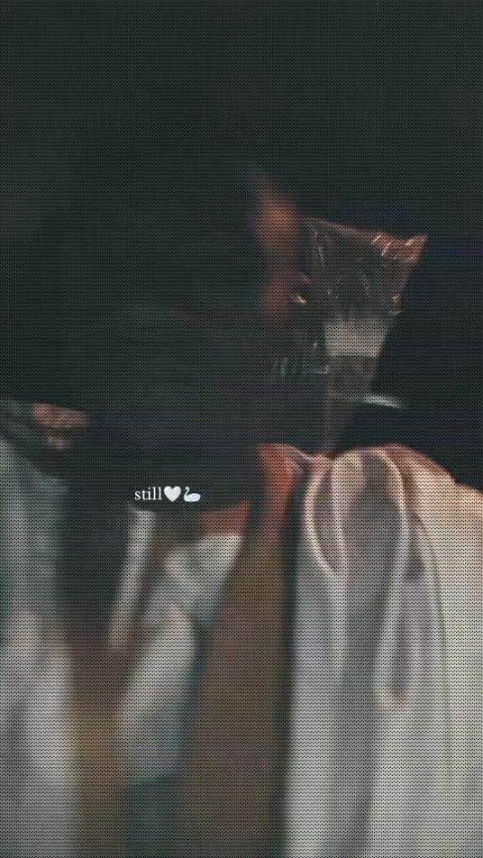 TikTok video thumbnail by chekhnejames24