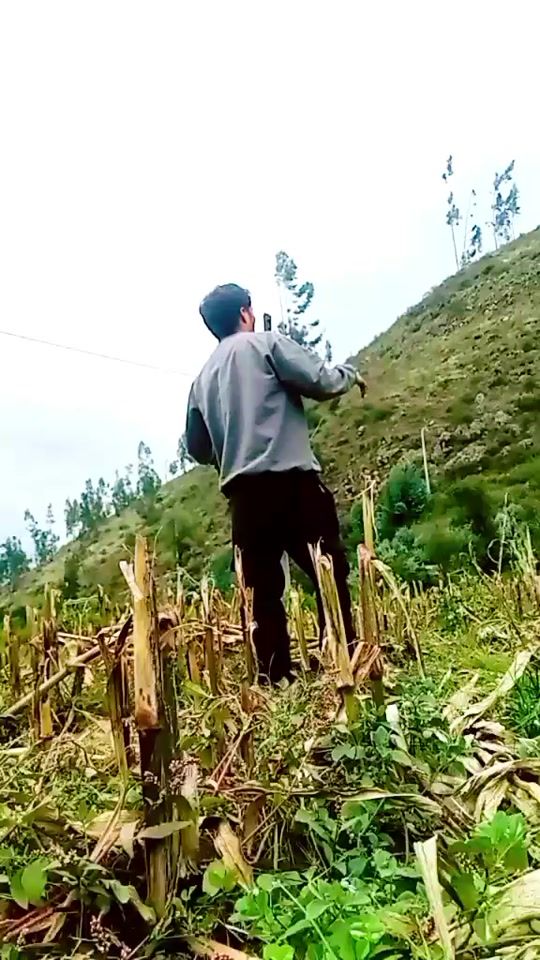 TikTok video thumbnail by edwinroger_7
