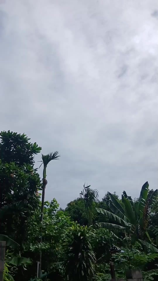 TikTok video thumbnail by sha.ron152