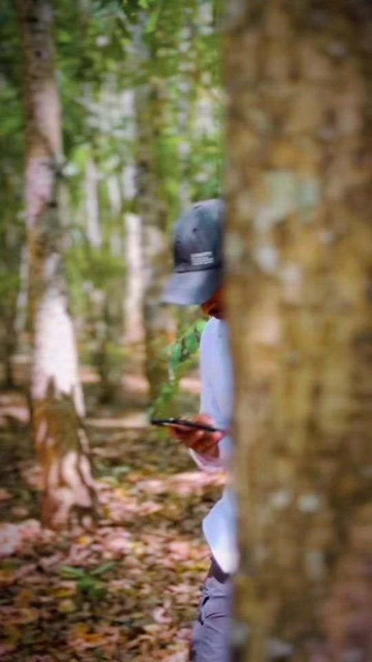 TikTok video thumbnail by flips___sala