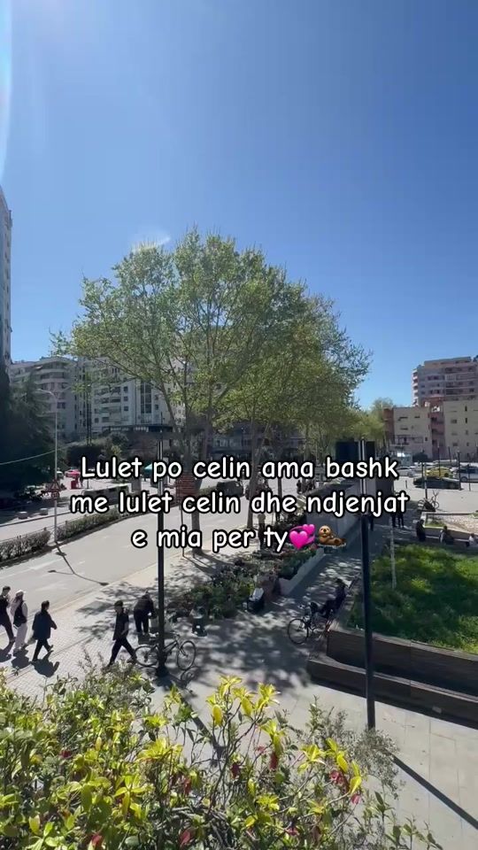 TikTok video thumbnail by the_cutesttt