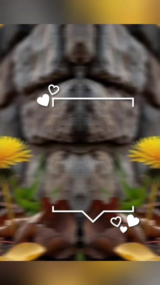 TikTok video thumbnail by www.tiktok.comjudith022