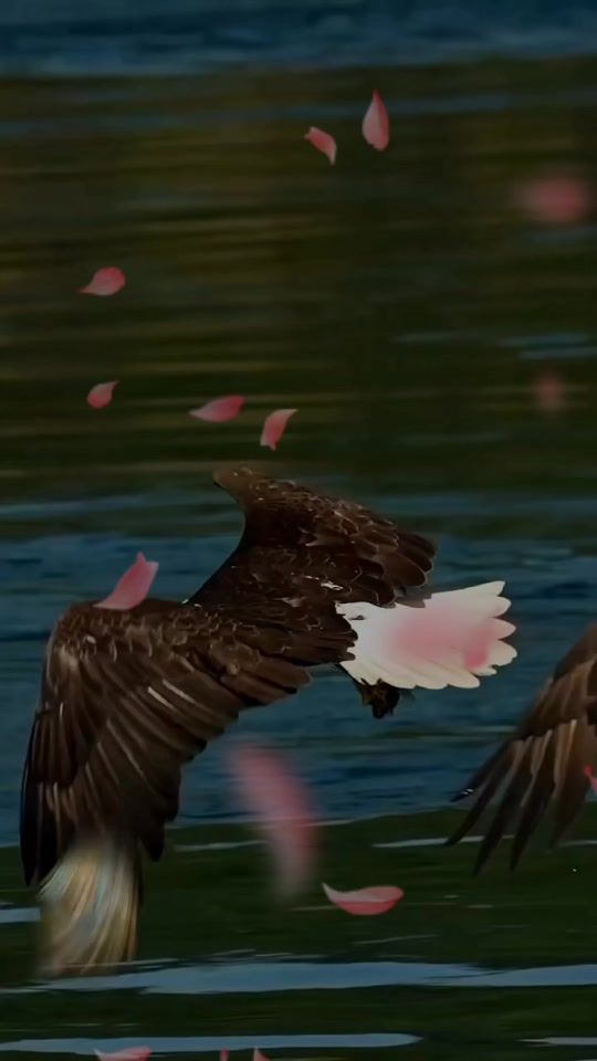 TikTok video thumbnail by abgloricoklat