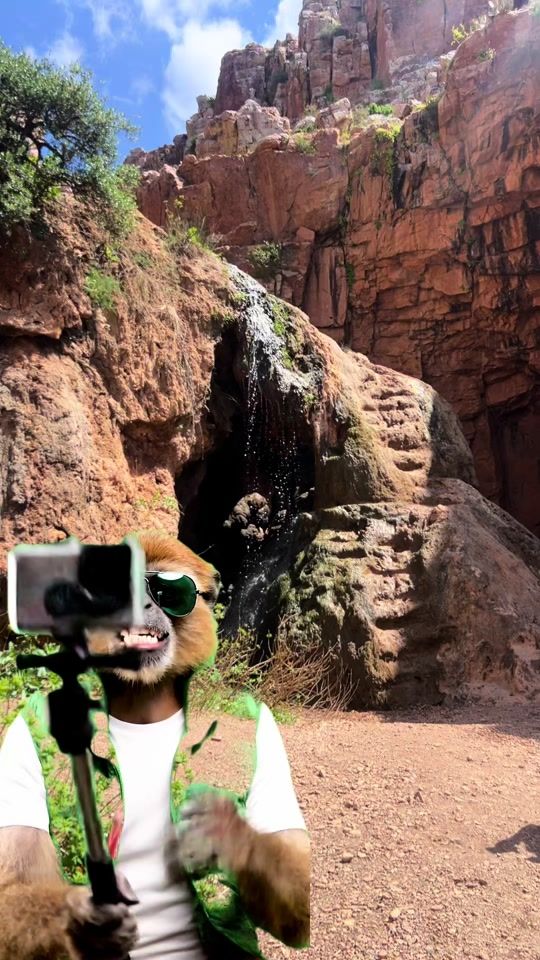 TikTok video thumbnail by jarmoune