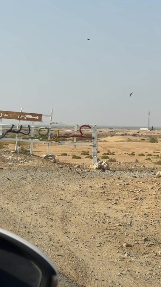 TikTok video thumbnail by loloooo4844