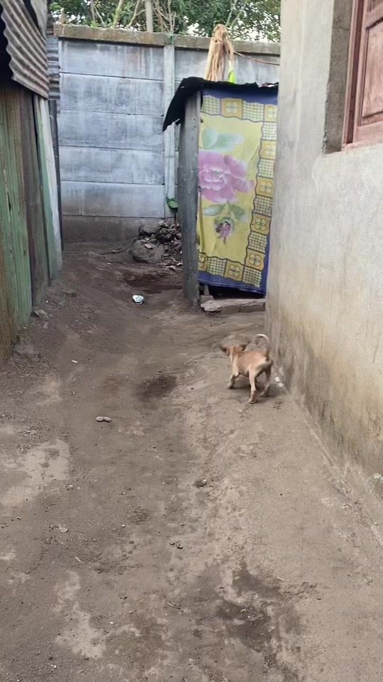 TikTok video thumbnail by hemssell