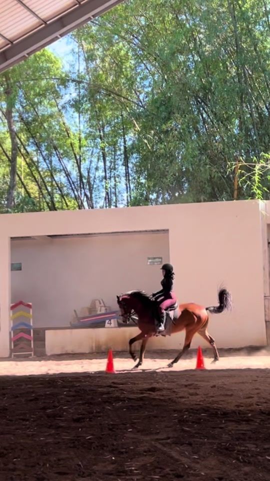 TikTok video thumbnail by dellaceblong_