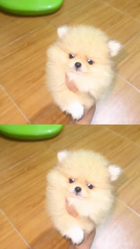 TikTok video thumbnail by linlylingling0