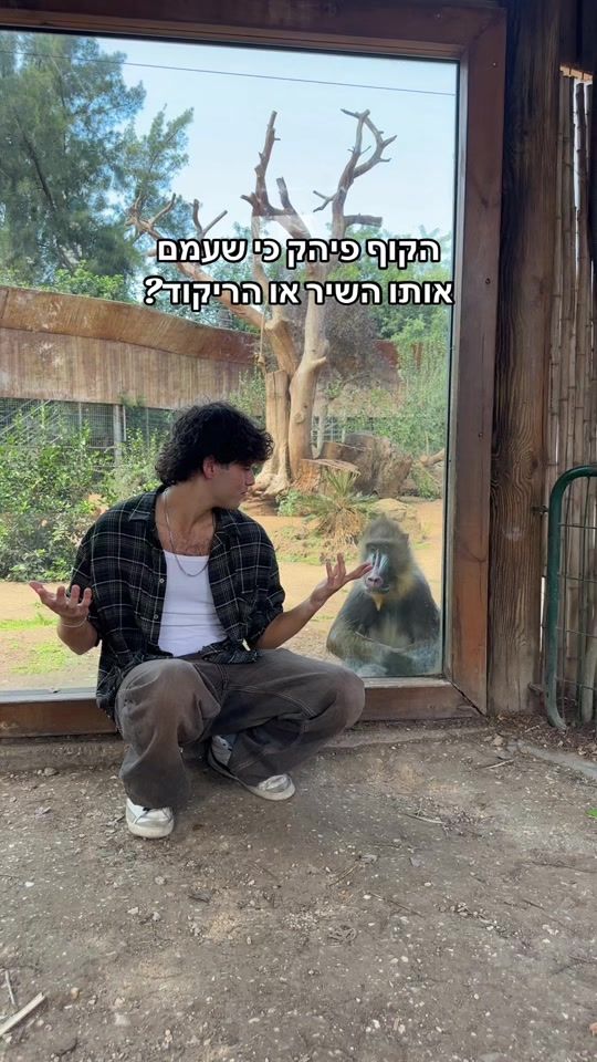 TikTok video thumbnail by yhonatan_shtivi_