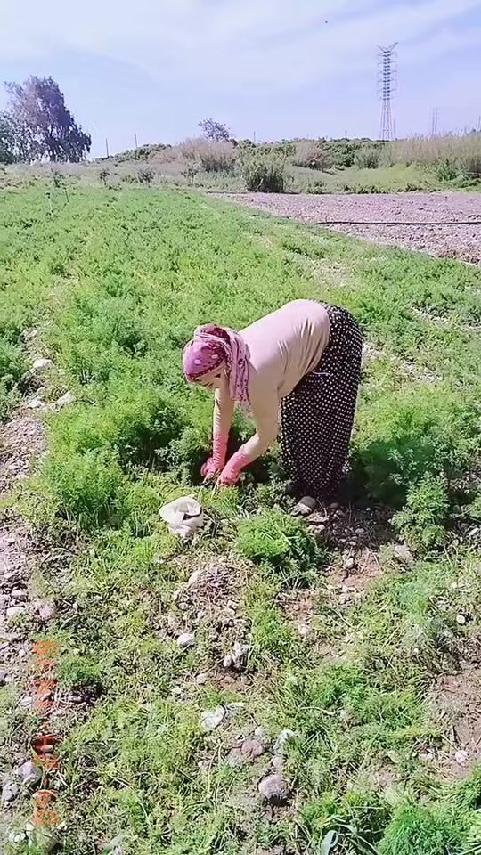 TikTok video thumbnail by yaren.33.63