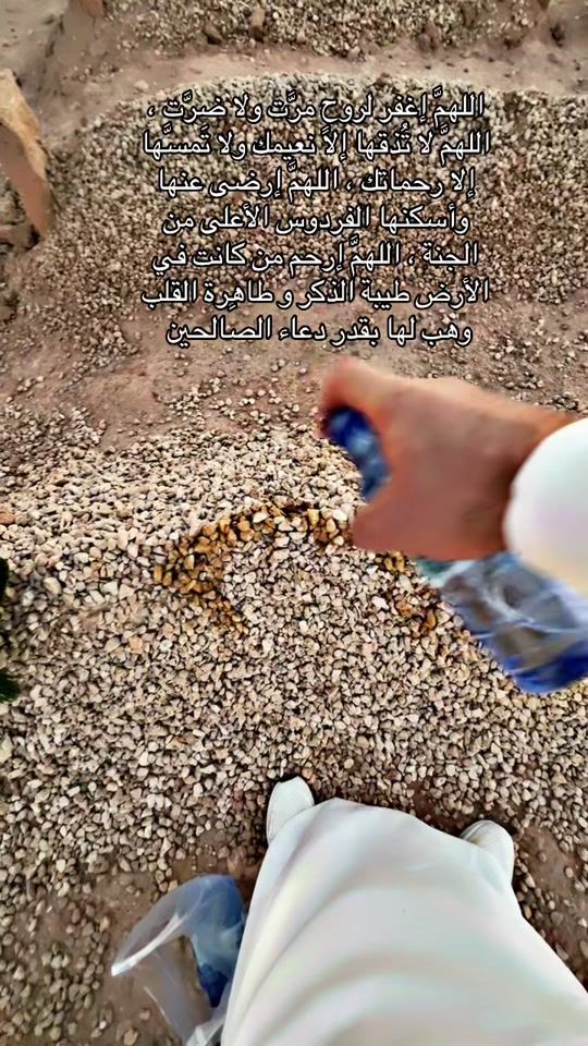 TikTok video thumbnail by user357000439