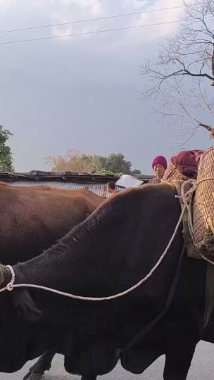 TikTok video thumbnail by lekey_w