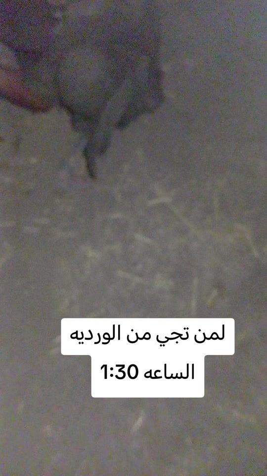 TikTok video thumbnail by kabosss59