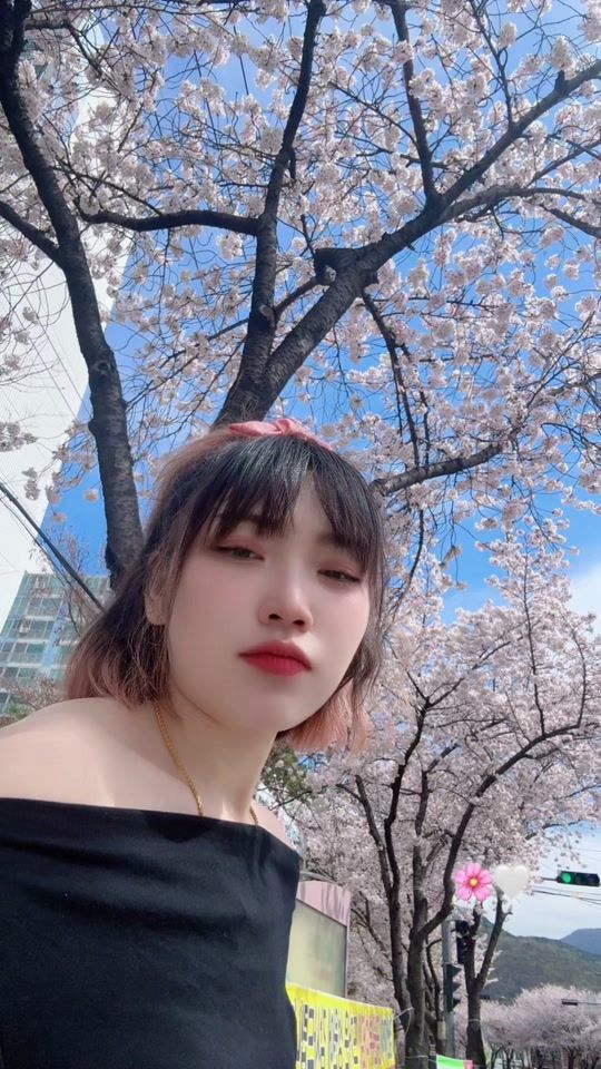 TikTok video thumbnail by noy_12300