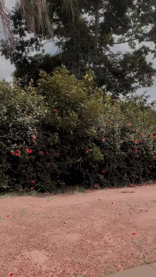 TikTok video thumbnail by daniesther02