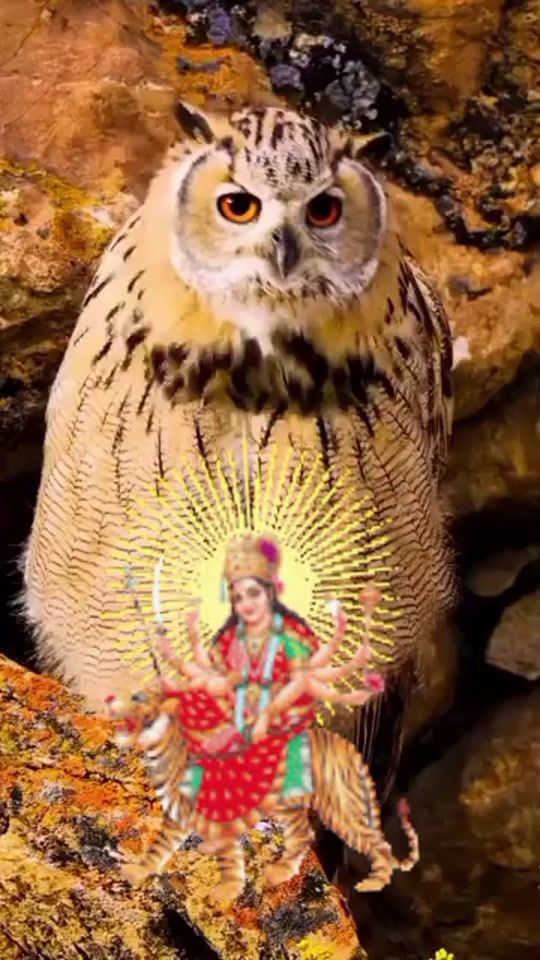 TikTok video thumbnail by nirmalashahshah