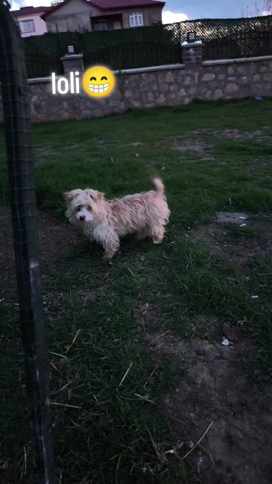 TikTok video thumbnail by suphan_klc.76